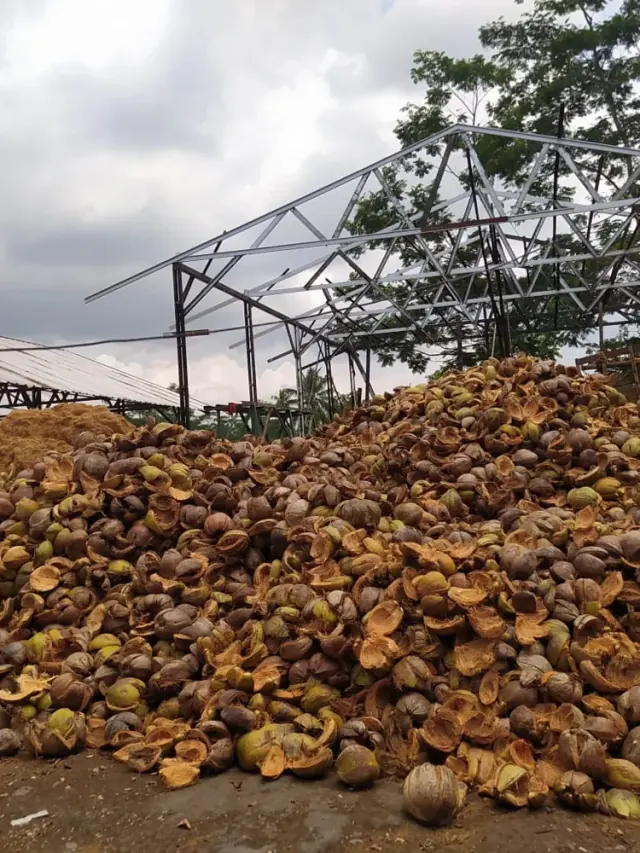 Premium Coconut Products Mobile