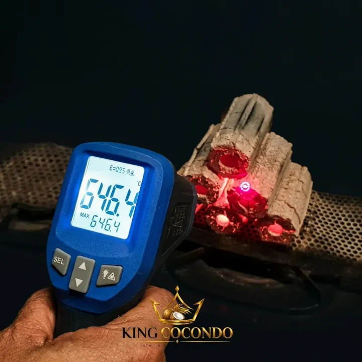 Charcoal Temperature Testing